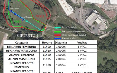 domingo 3 de febrero CROS ESCOLAR