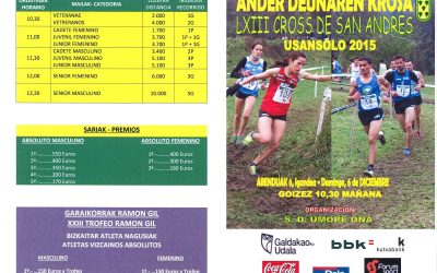 Kros San Andres Usansolokoa