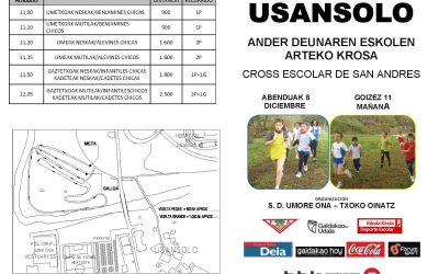LARUNBATEAN Ander Deunaren eskolen arteko krosa
